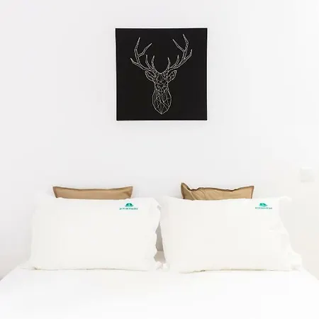 The Trendy Apartment